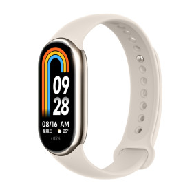 Фитнес - браслет Xiaomi Smart Band 9 (Global, Titan Gray)